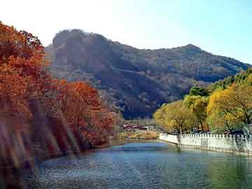 平陆野猪，项观奇